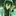 Dr.ミクロ