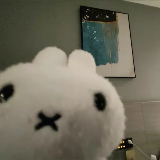 GummyQuoll7719의 황다경