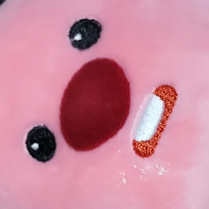 GildedSpit6334의 결혼 상대가 사네미