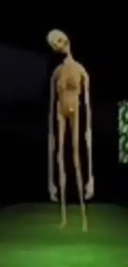 Profile image of Verity