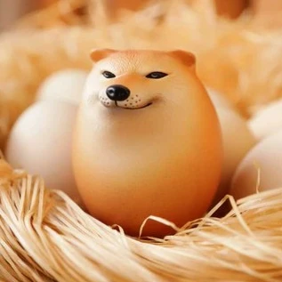 시바쿠
