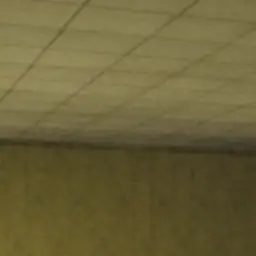 Profile image of カンヒュ達のファン