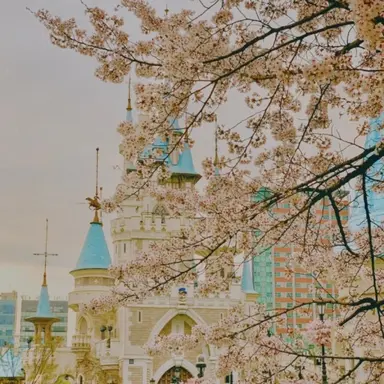 Profile image of 덕개