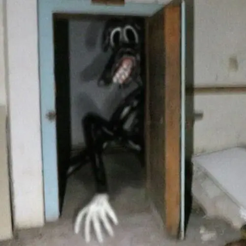 cartooncat_love의 Cartoon Dog