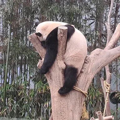 Profile image of 내레이션