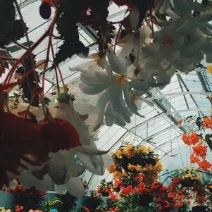 YJS103971의 이나경
