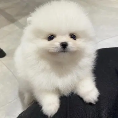 Profile image of 구름