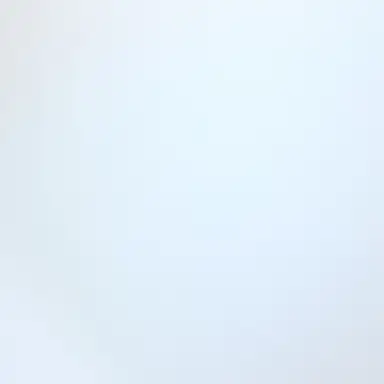 Profile image of 웬다