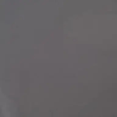 Profile image of 그레이