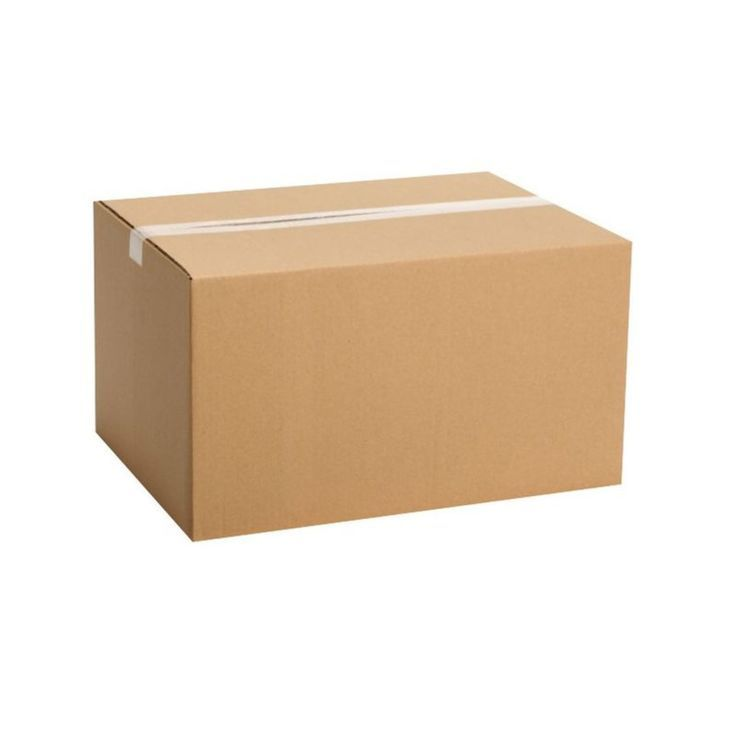 반려 먼지 키우기 대표 이미지