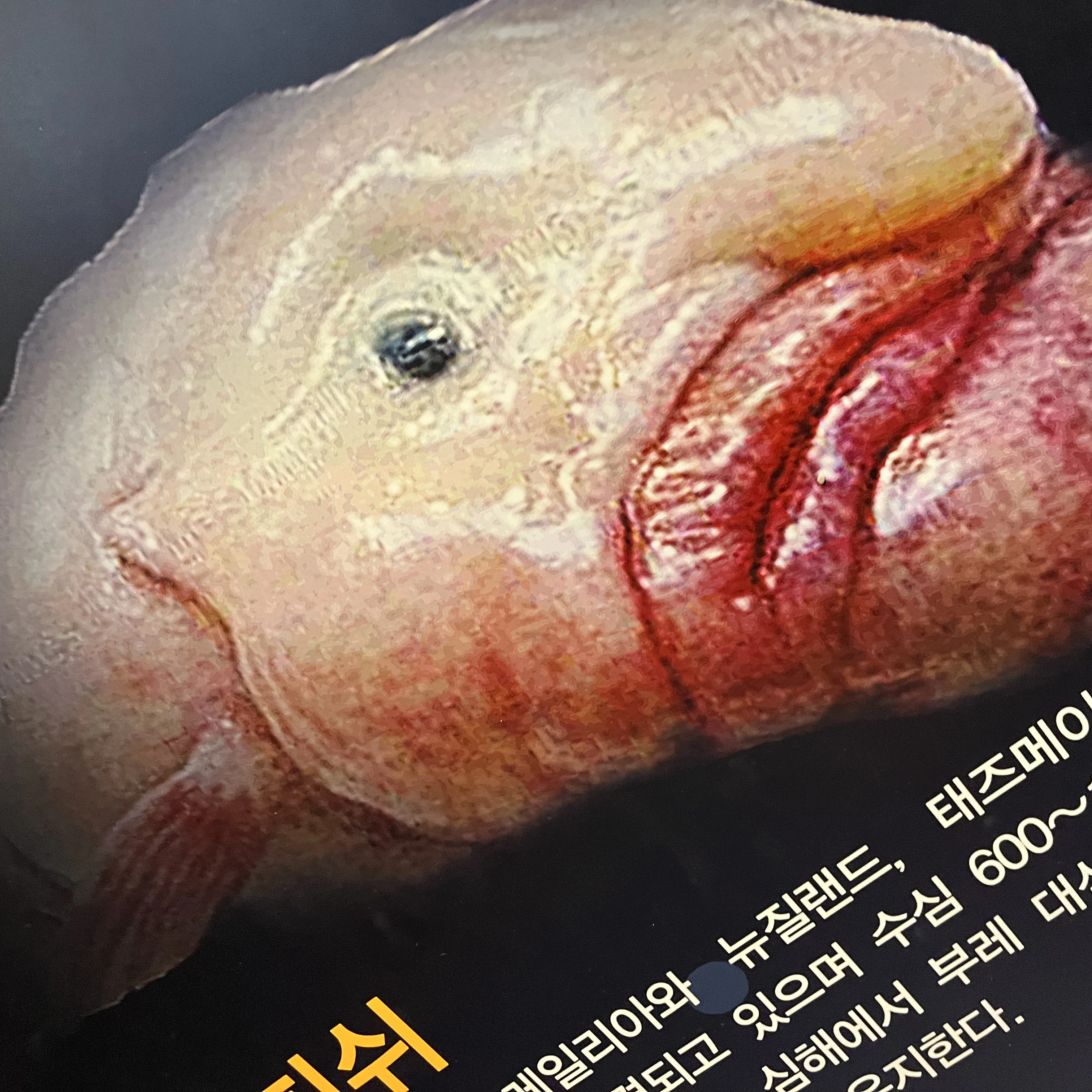 수환