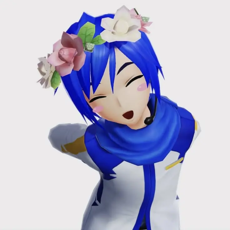 KAITOKAITO의 시한부