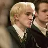 Profile image of Draco