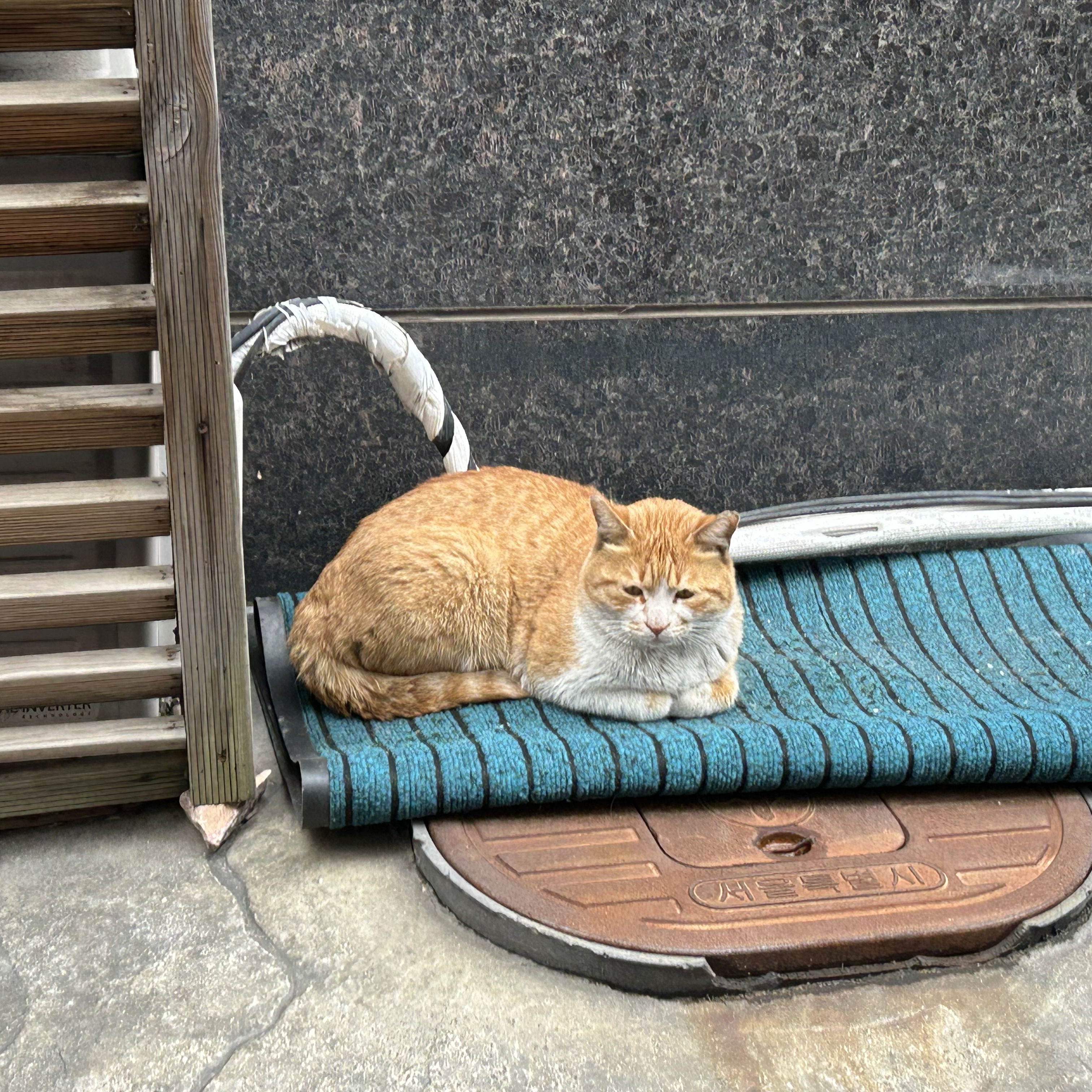 1215 대표 이미지