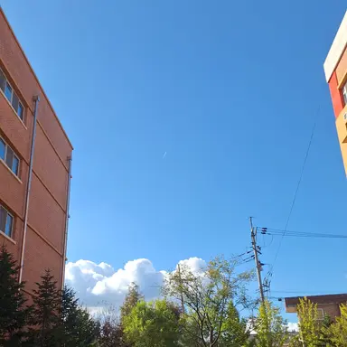 Profile image of 여우