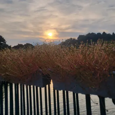 Profile image of 지또지