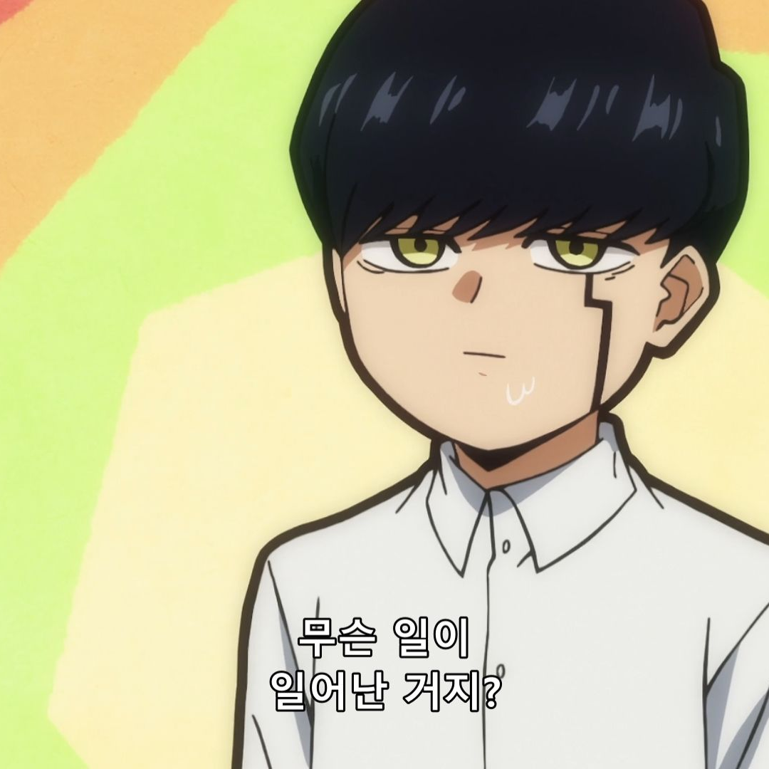 마슐 대표 이미지