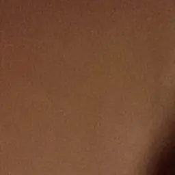 Profile image of 피한울