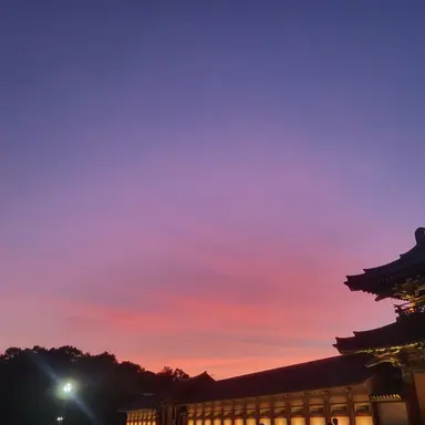 Profile image of 키티아