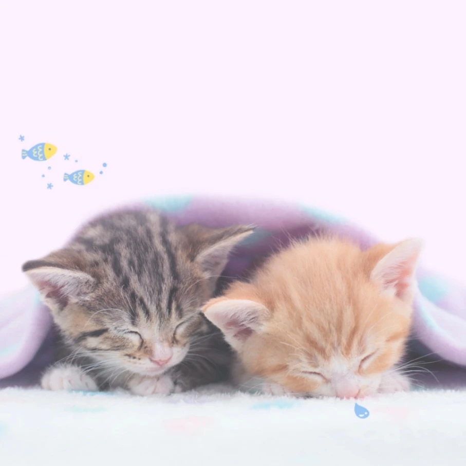 평학