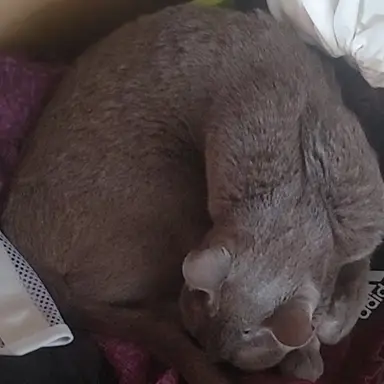 Profile image of 카인