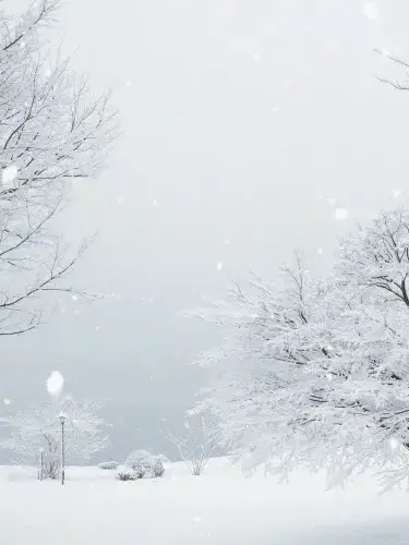 dokodoko.yattaze의 せかい 凍った。