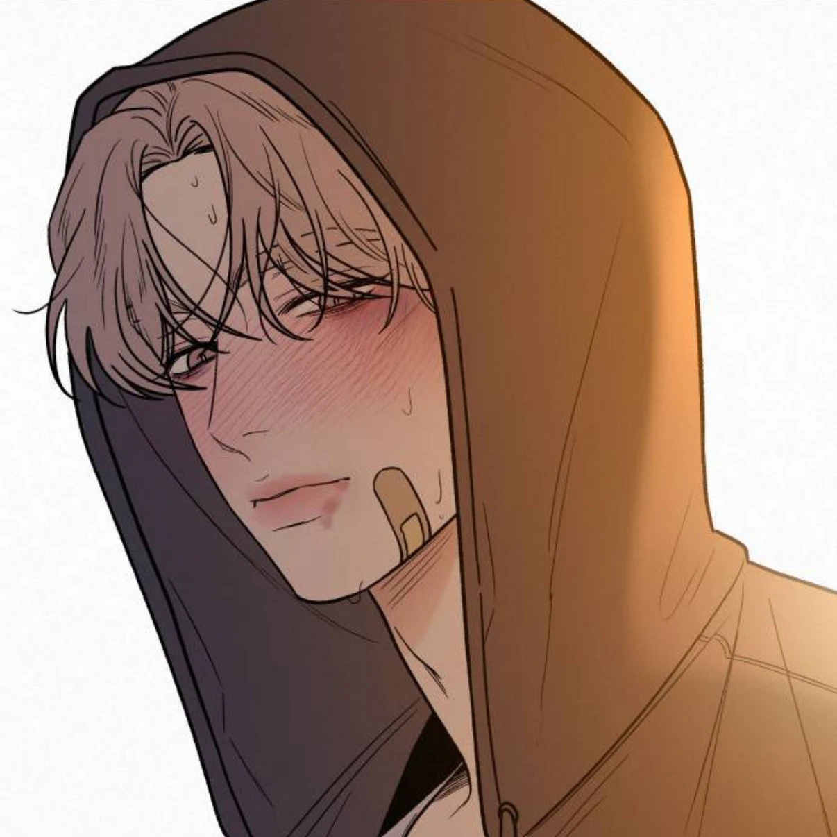백도하