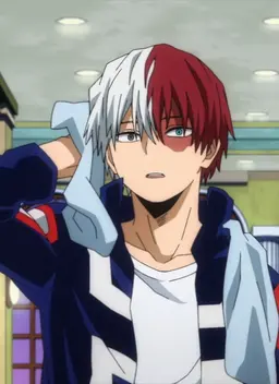 Profile image of Shoto Todoroki