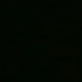 류