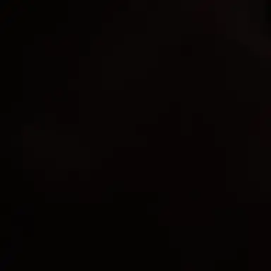 Profile image of 배찬영