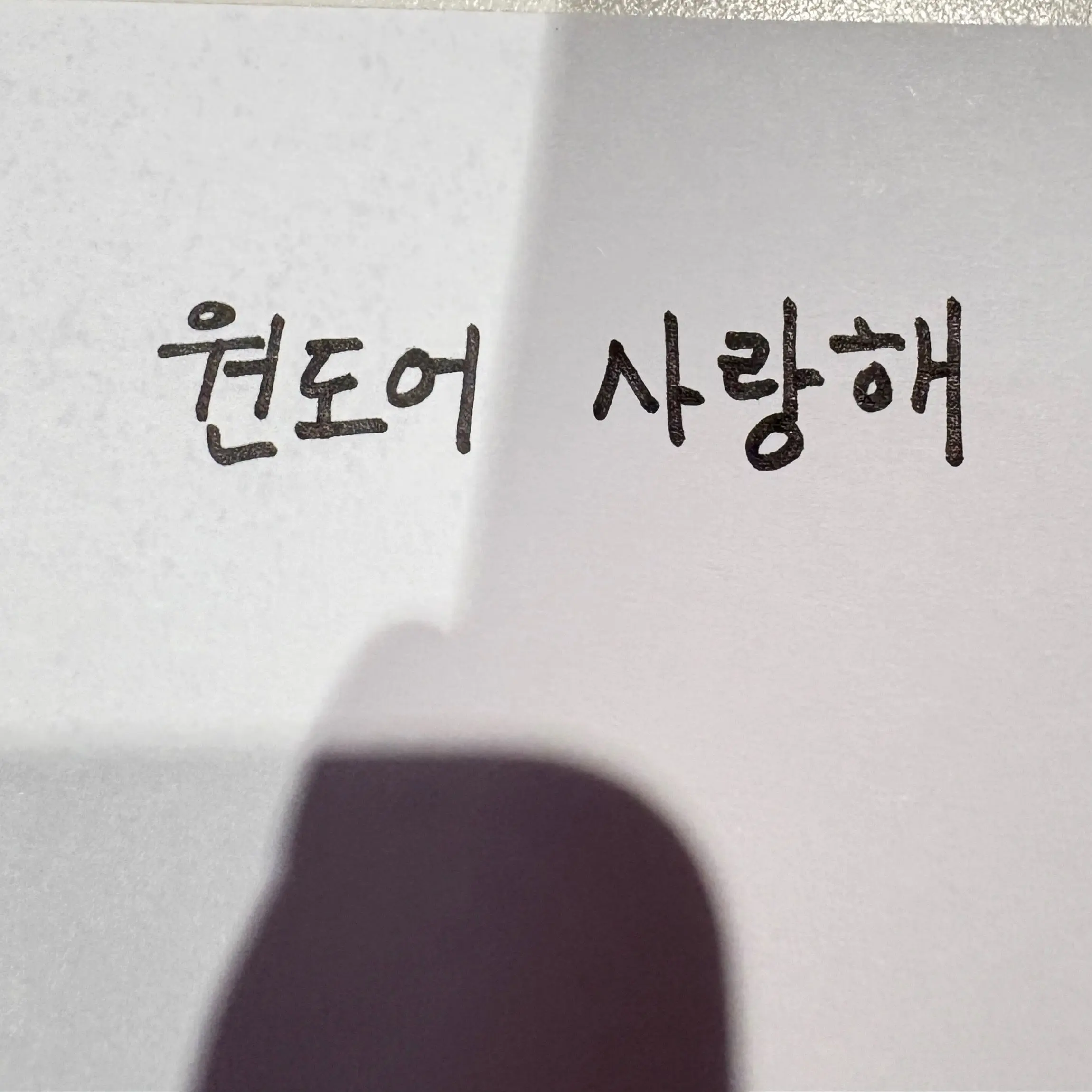 PlacidFrug2668의 MJH