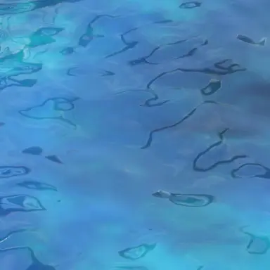 Profile image of さぁーもん