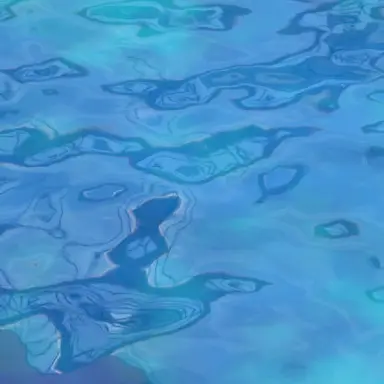 Profile image of しぇいど