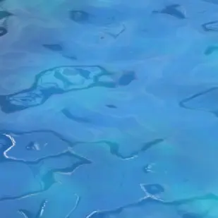 Profile image of うたい