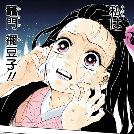 竈門ねずこ