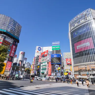 Profile image of 渋谷