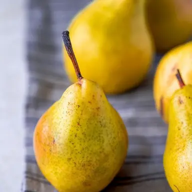 Profile image of 노아