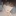김도빈