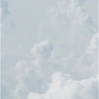 Profile image of 왕따 시킨 뜰팁