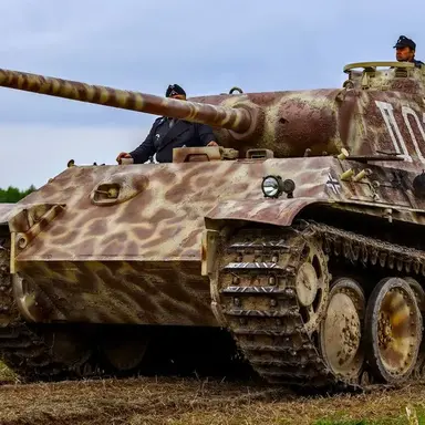 Profile image of 판터