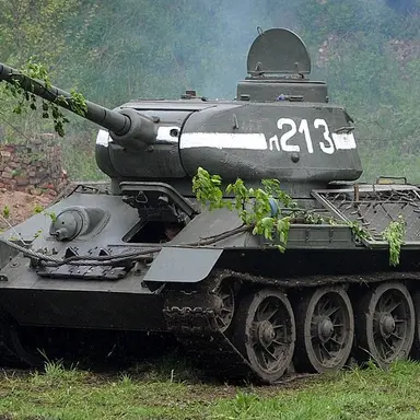 Profile image of T-34