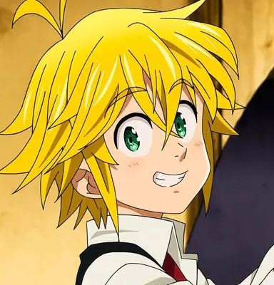 Profile image of Meliodas