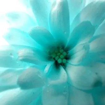 Profile image of 예엥