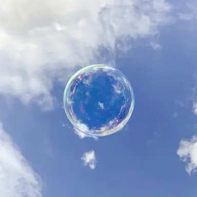 Profile image of 파이브