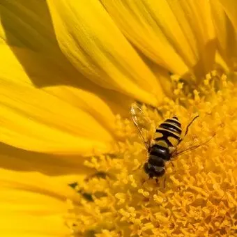 Profile image of 쪼만