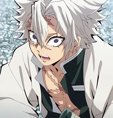Profile image of Sanemi Shinzuagawa