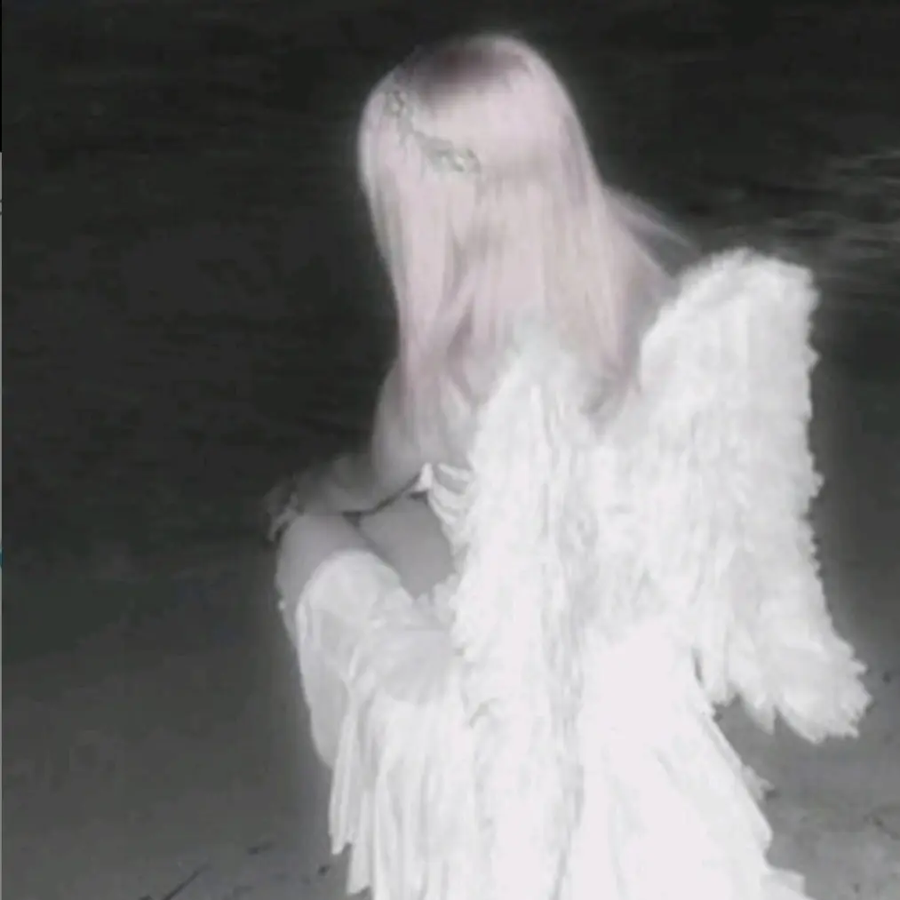 AcidicDay4664의 아이돌 생활