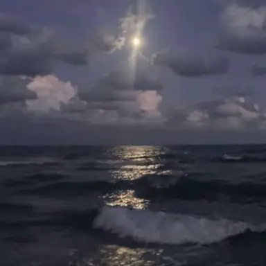 Profile image of なおきり