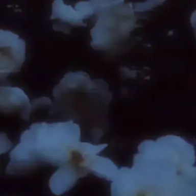 Profile image of ヒロ