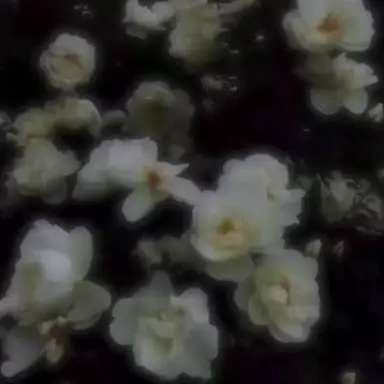 Profile image of たっつん